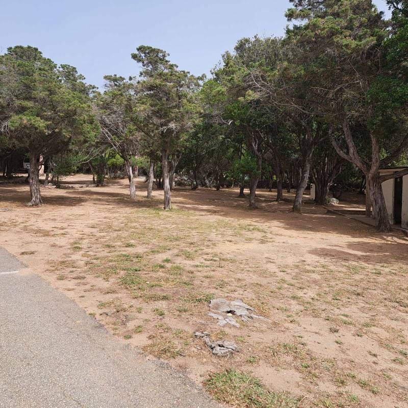 Camping Abbartello — Camping Site in Olmeto