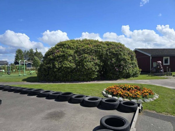 Vita Sannars Camping — Photo 3