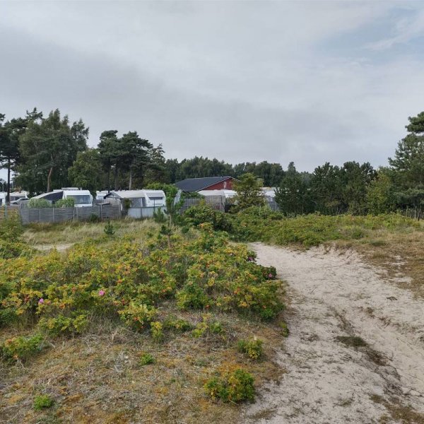 Skateholms Camping — Photo 2