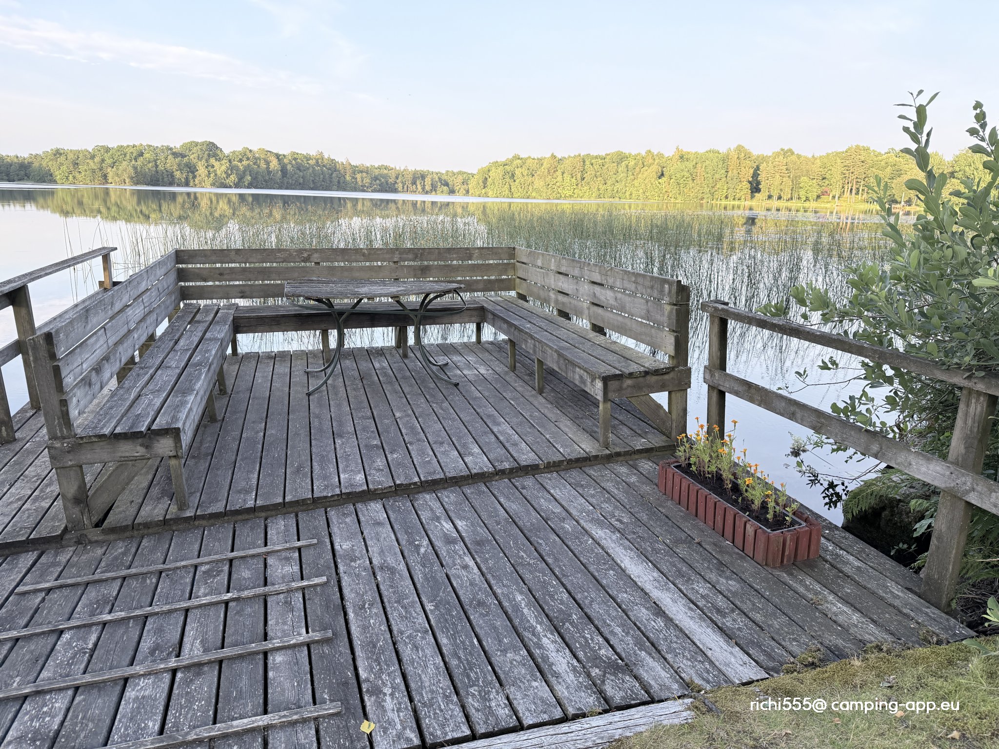 Den Sovande Älgen — Foto 6