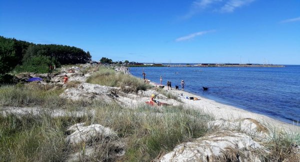 Böda Hamns Camping, Bödahamnsvägen, Löttorp, Schweden — Photo 4