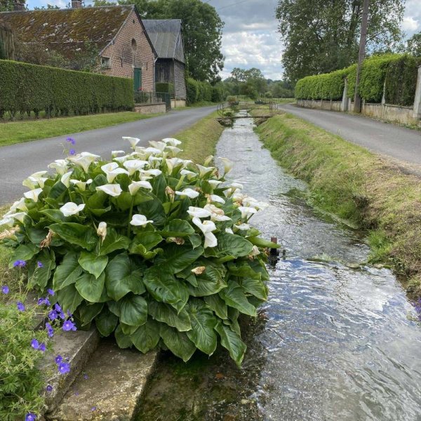 Le Verger de Tavaux — Photo 6