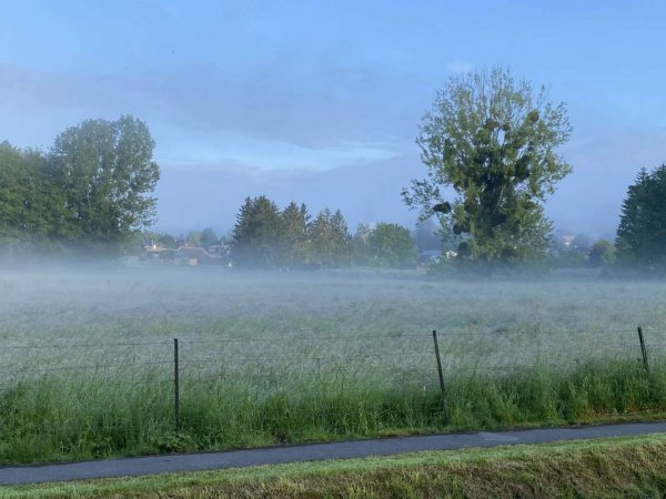 Le Verger de Tavaux — Foto 2