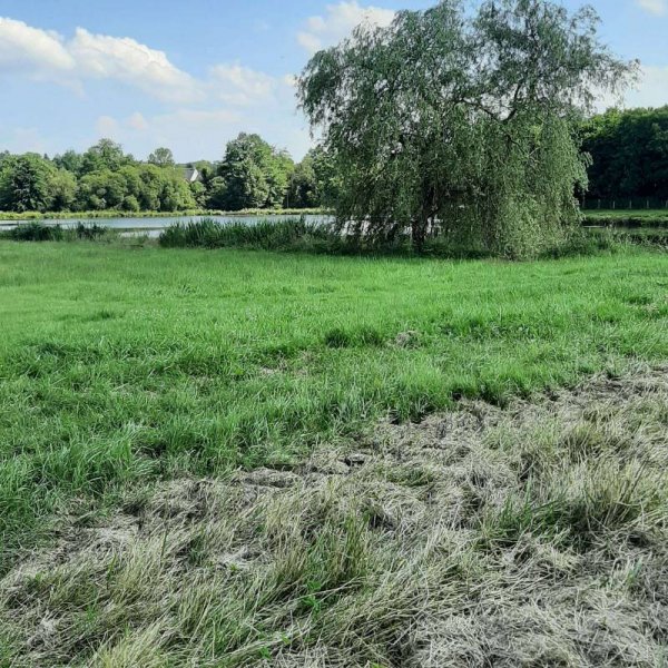 Stellplatz Jarnages — Photo 2