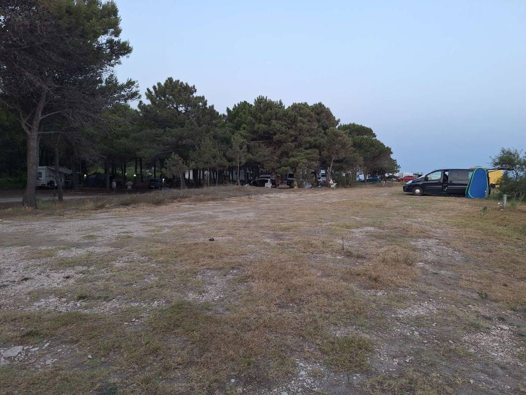 Tropicana Kamping — Camperplads in 