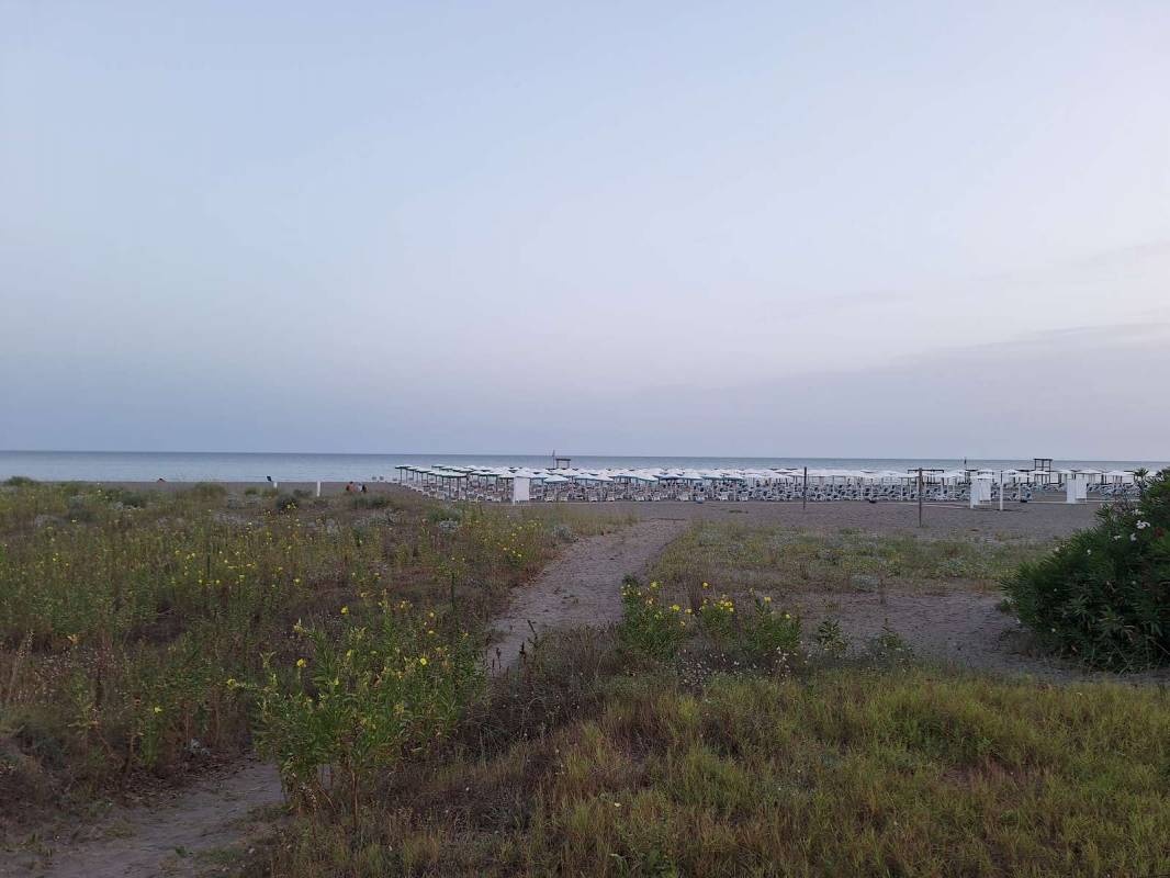 Tropicana Kamping — Campervan Site in 