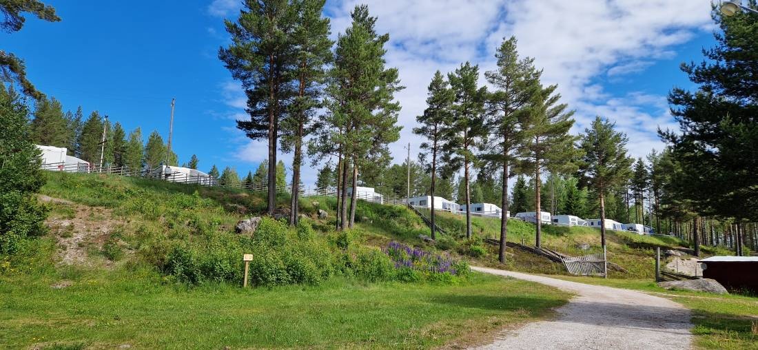 Dalstuga Naturcamping — Kemp in Dalstuga