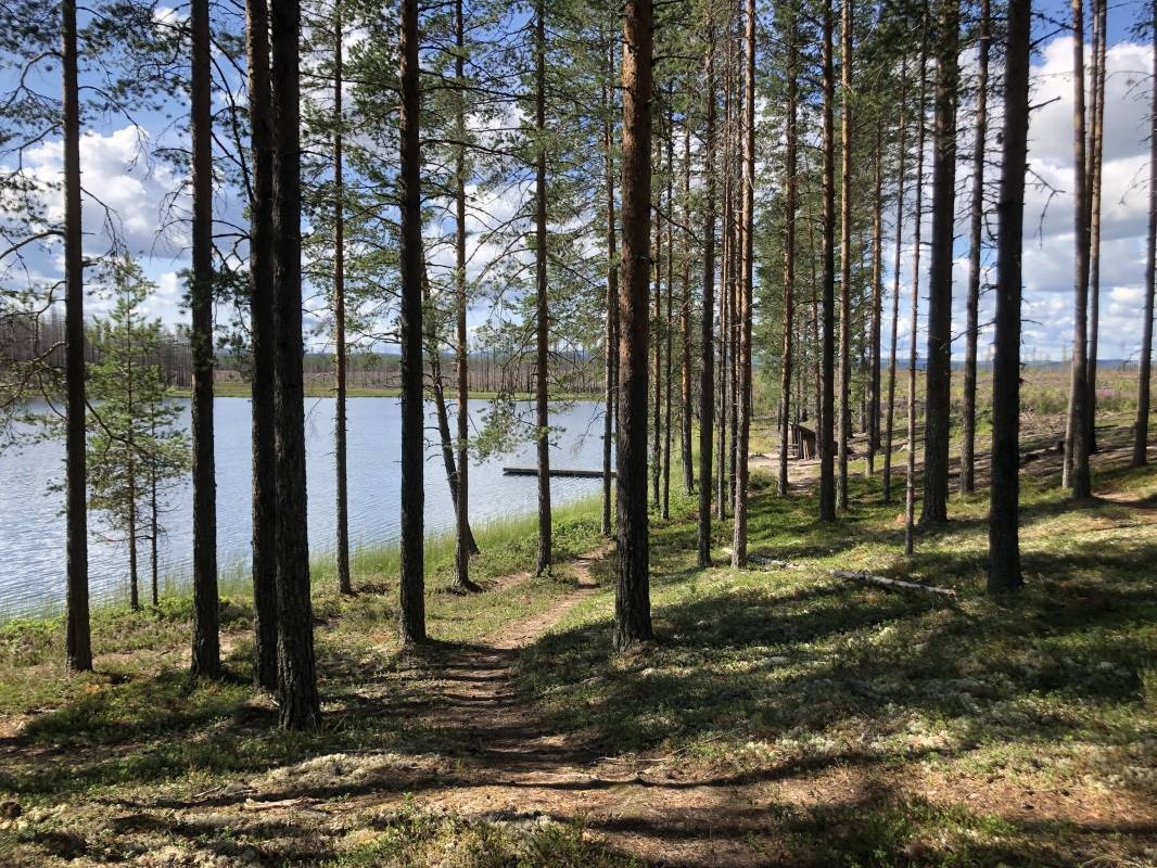 Abbortjärn Ställplats — Campingplads in 