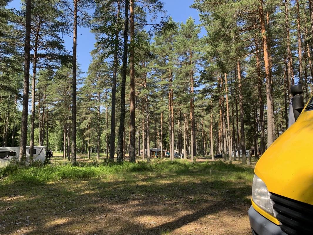 Sörsjöns Camping — Kemp in Åby