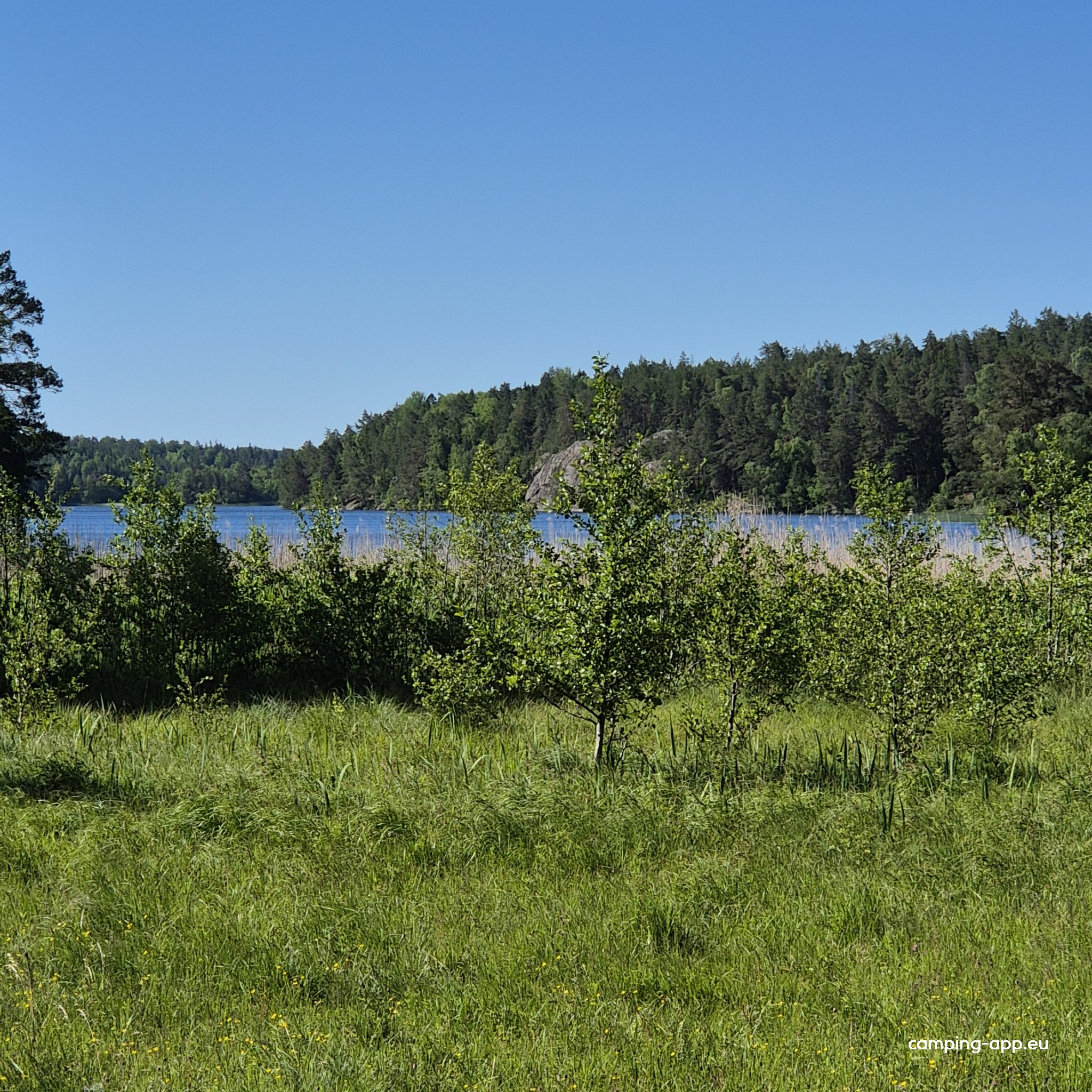 Fjällnora Camping — Foto 4