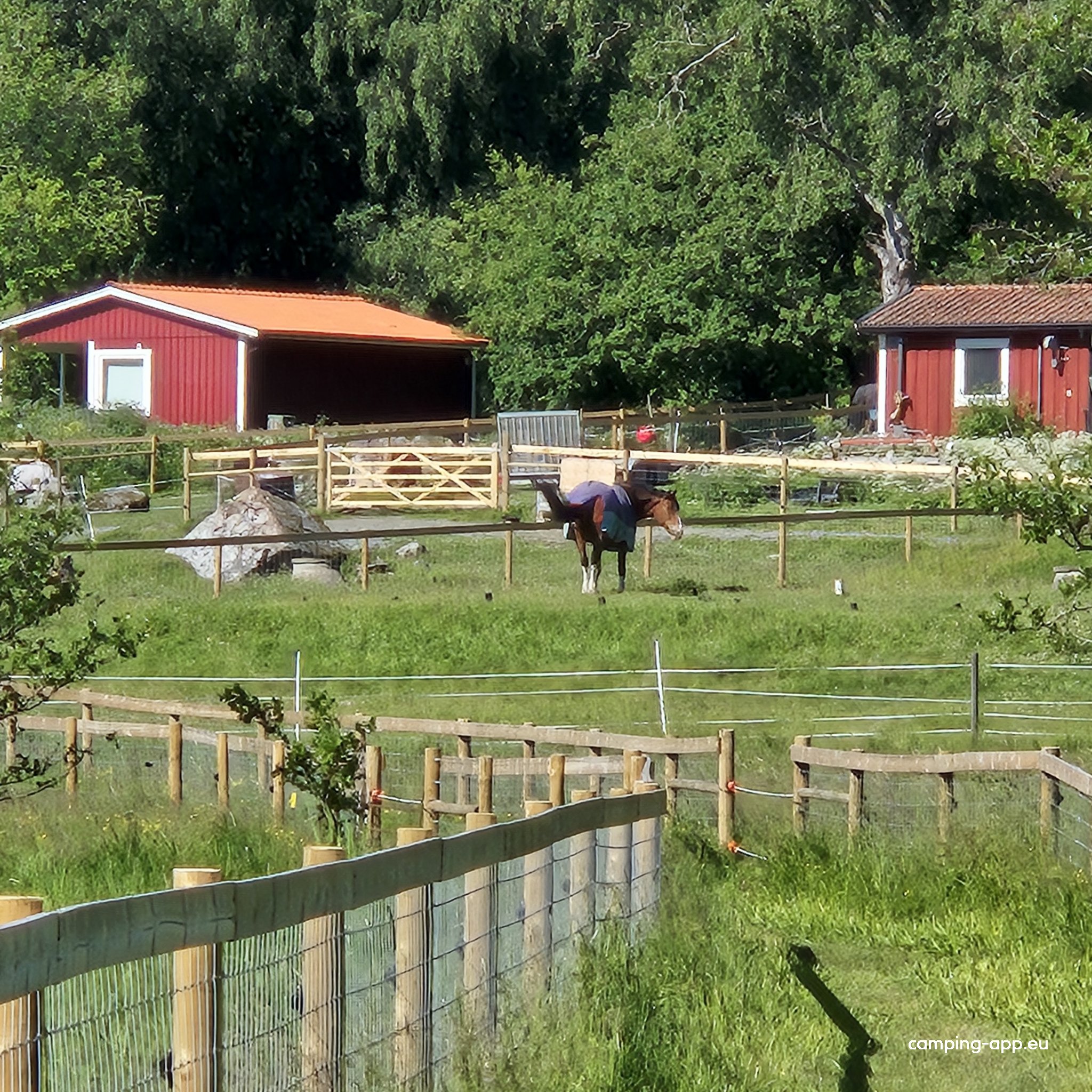 Fjällnora Camping — Foto 5