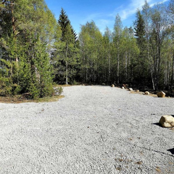 Mushingkunterbunt — Photo 6