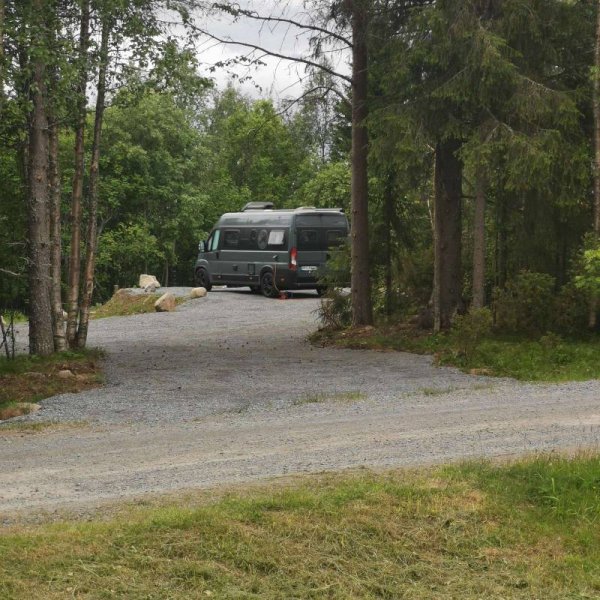 Mushingkunterbunt — Photo 2