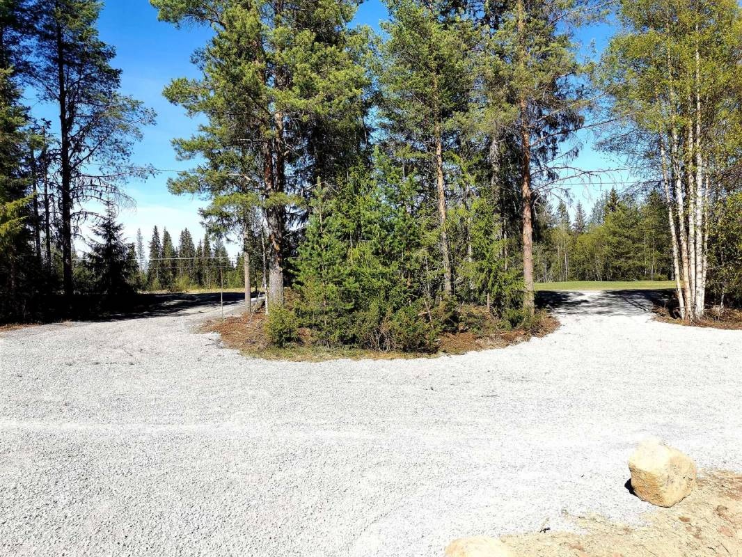 Mushingkunterbunt — Area Autocaravanas in 