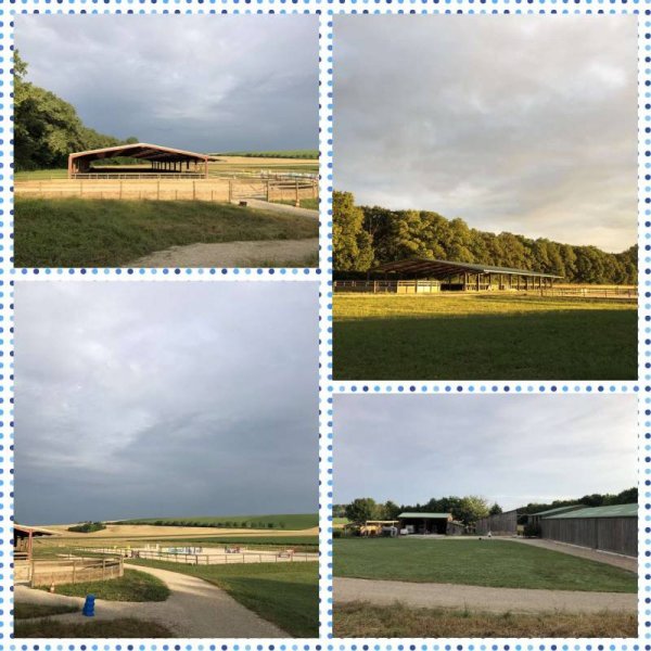 les écuries de la forêt d’orient — Photo 2