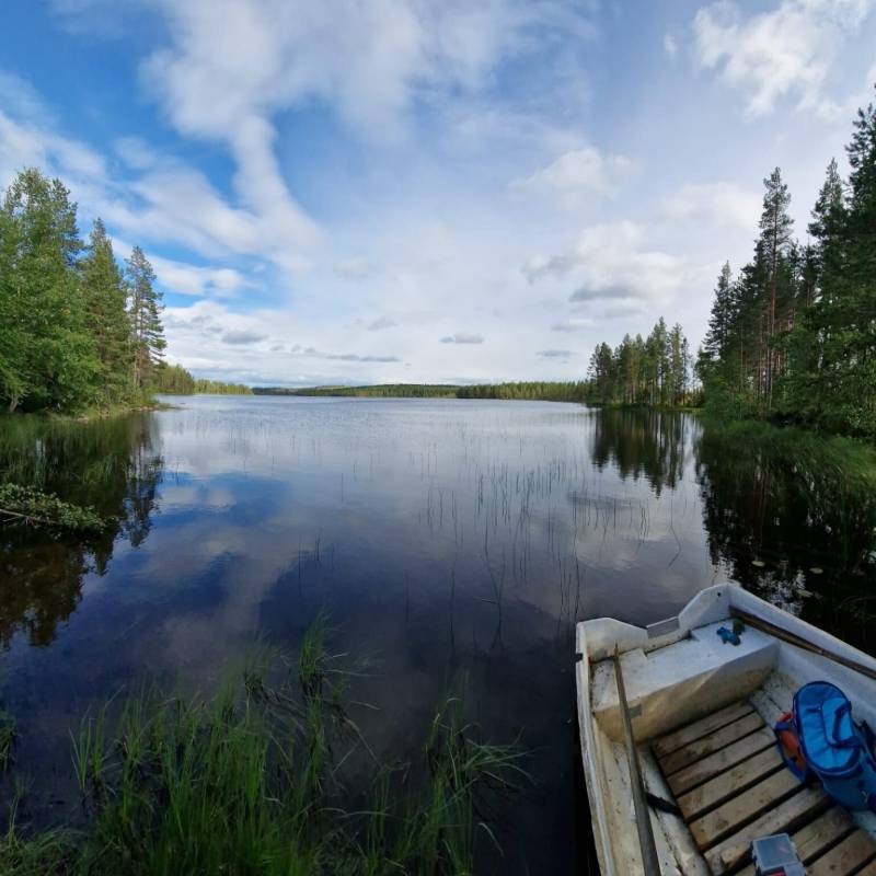 Tandsjö Farm — Aire camping car in Tandsjöborg