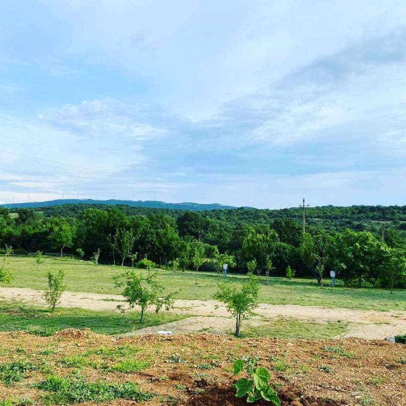 Camp Side of Peace — Sp. parking dla kamperów in Pečurice