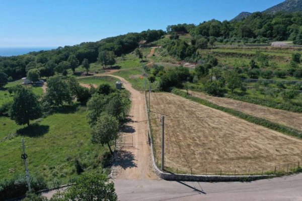 Camp Side of Peace — Photo 2