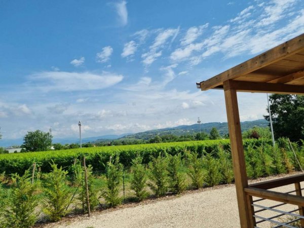Agricamping  Il Parco dell'Adige — Fotografie 6