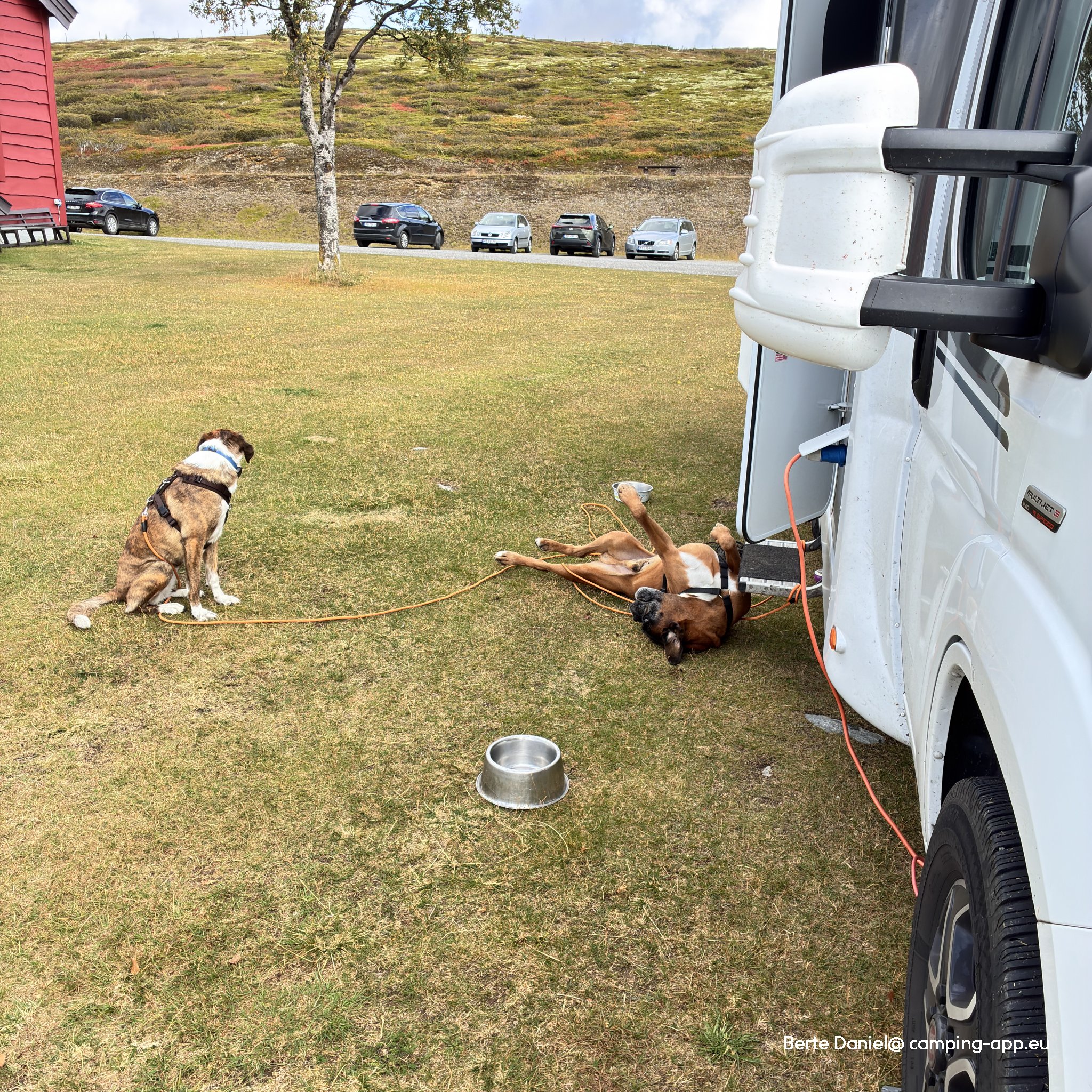 Høvringen Camping und Hotel — Foto 2