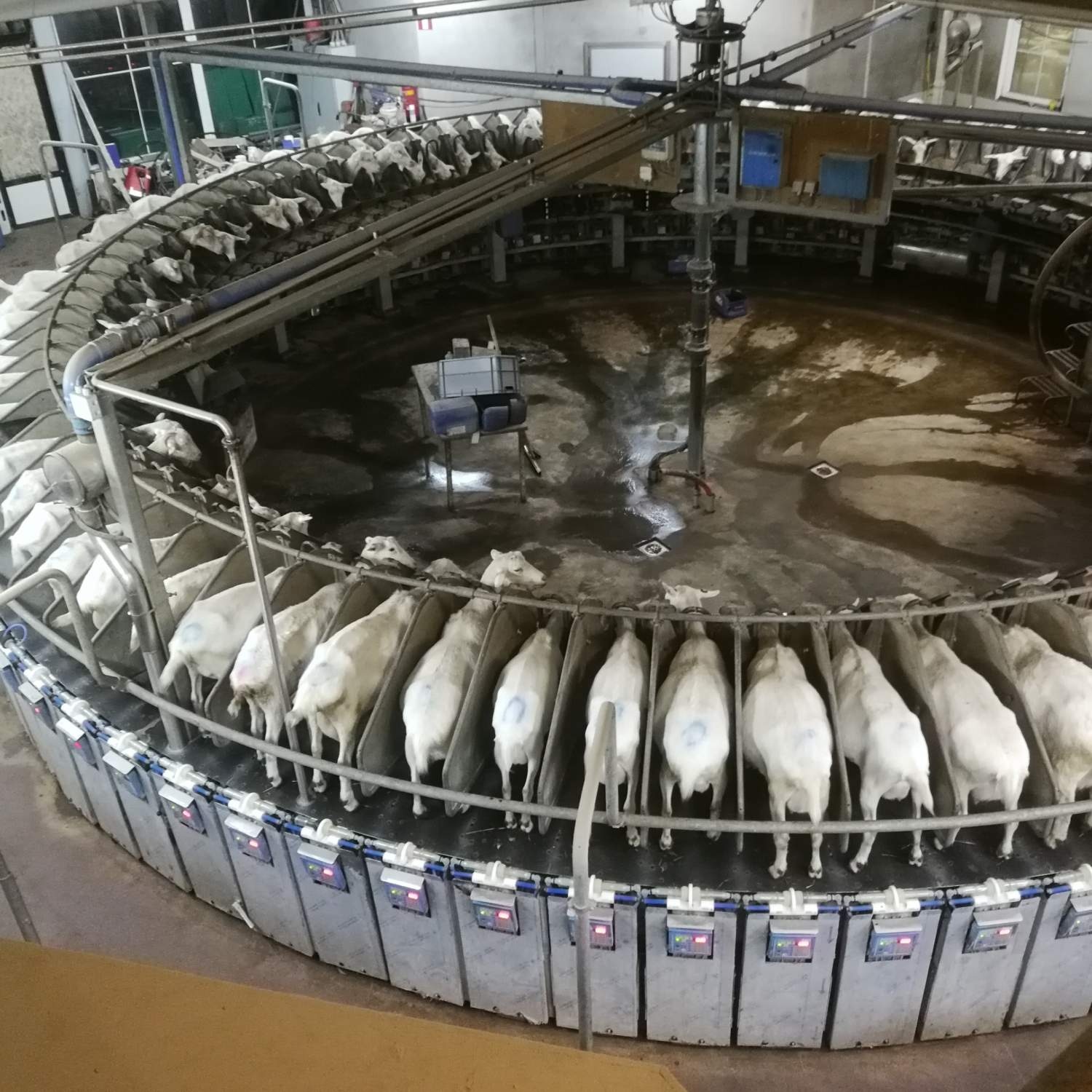 De Grote Bredelaar — Campingplatz in Elst