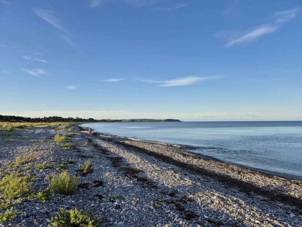 Dråby Strand Camping Ebeltoft — Photo 4