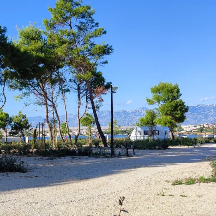 Aminess Avalona Camping Resort — Campingplass in Povljana
