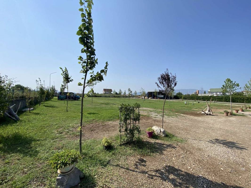 Camping Tree Olives — Karavan Sitesi in Boriç i Madh