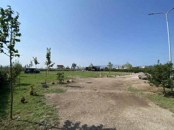 Camping Tree Olives — Photo 3