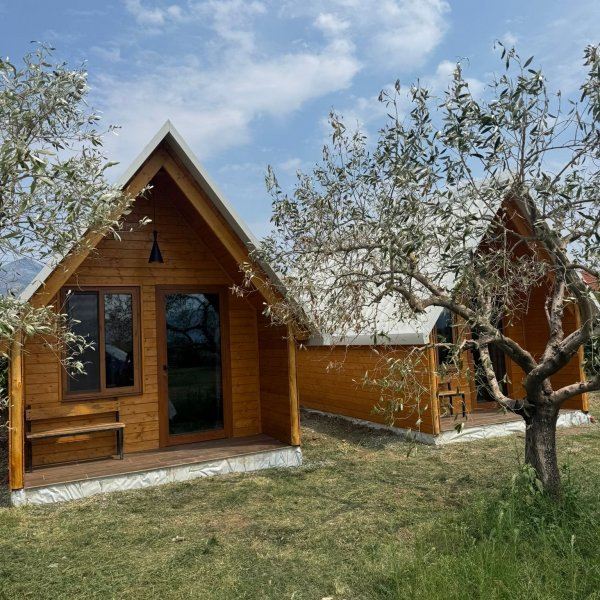 Camping Tree Olives — Foto 4