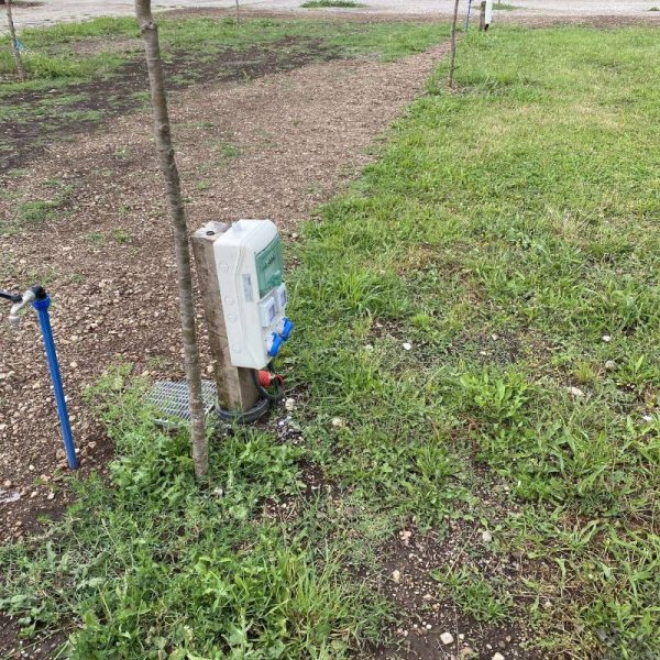 Camping Tree Olives — Photo 5