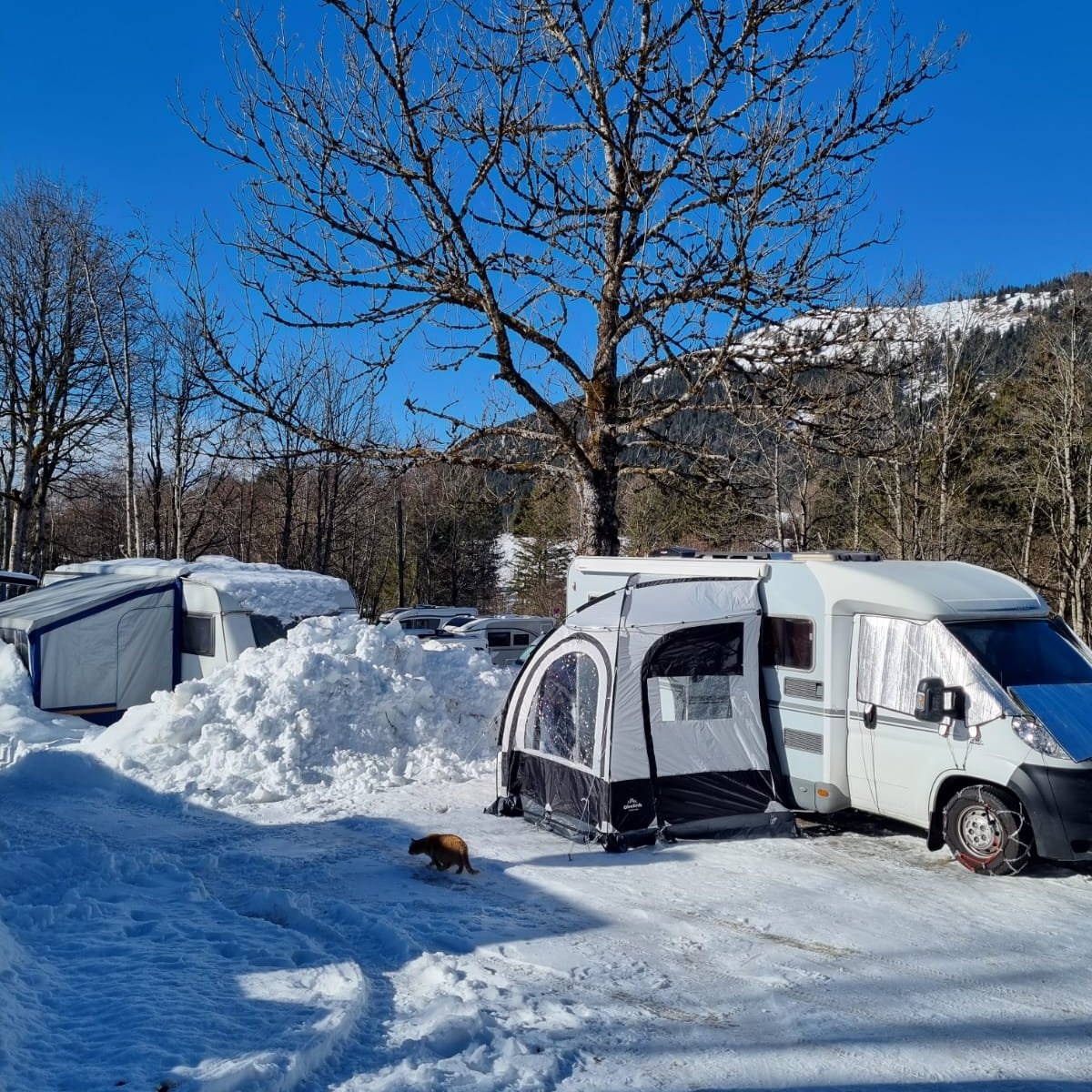 Campingplatz Bergheimat Oberjoch — Camping Site in Bad Hindelang