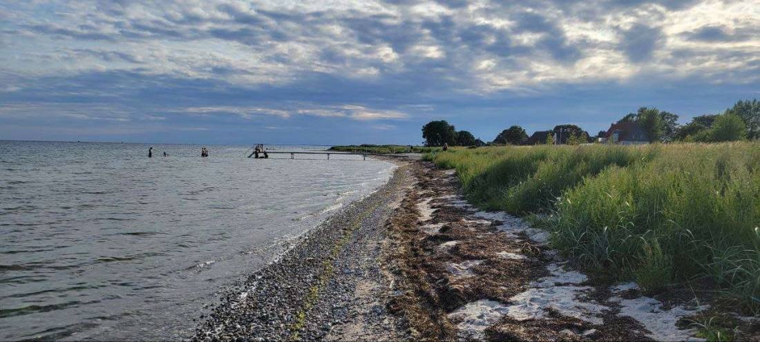Bisserup Camping Sjælland — Camping Site in Rude