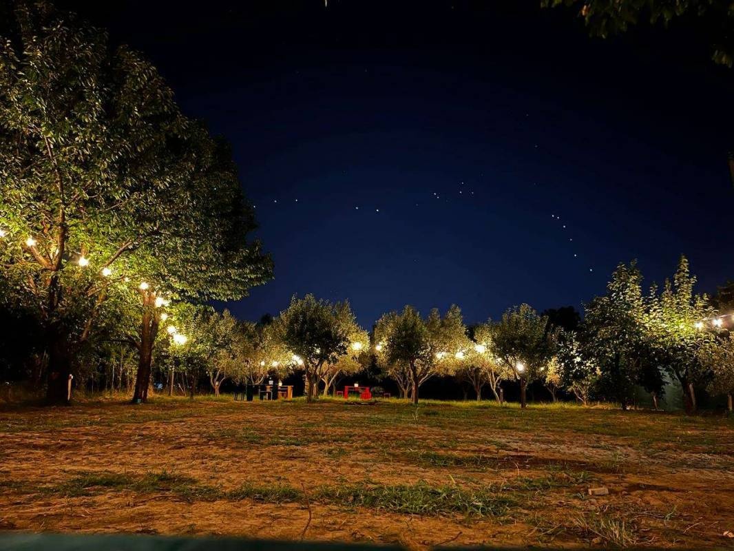 Camping Bandula — Kamp yeri in Shkodër