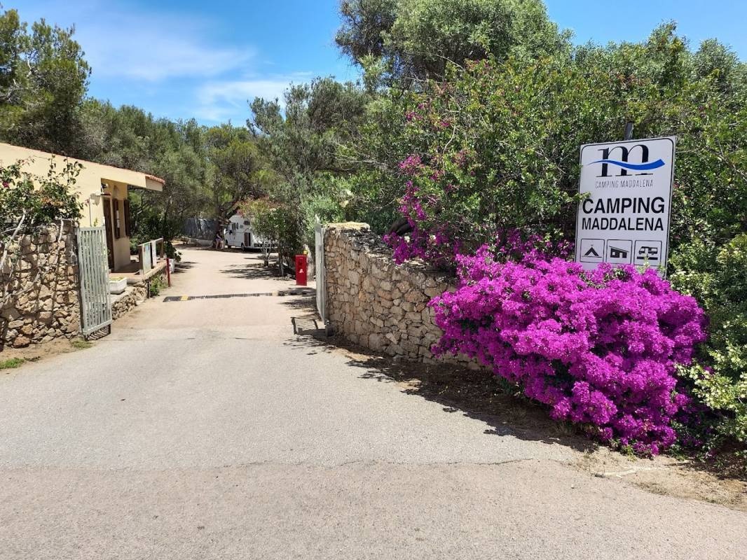 Camping Maddalena — Kemp in La Maddalena