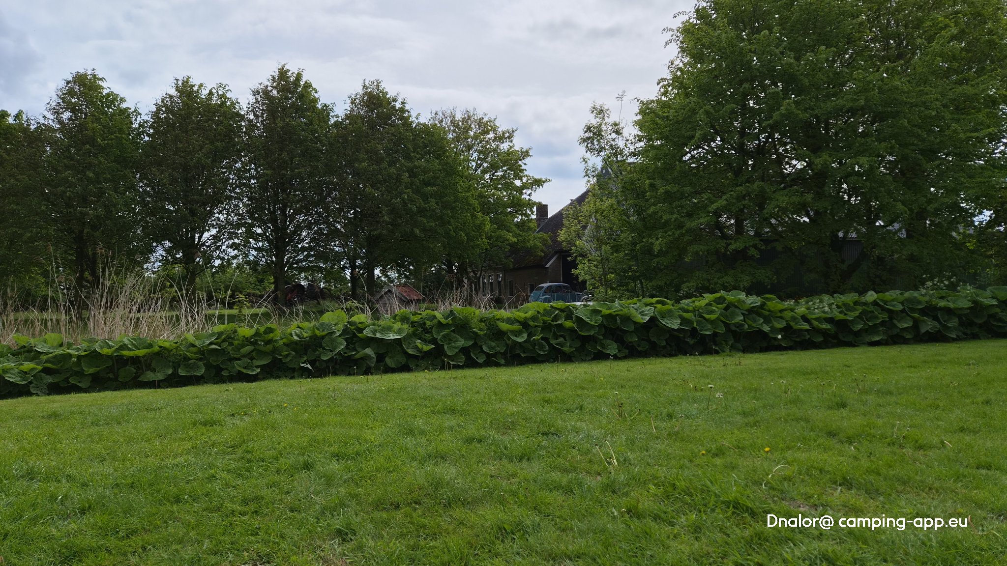 De Noordster Mini Camping — Photo 6