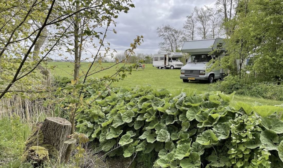 De Noordster Mini Camping — 露营车营地 in Sint Annaparochie