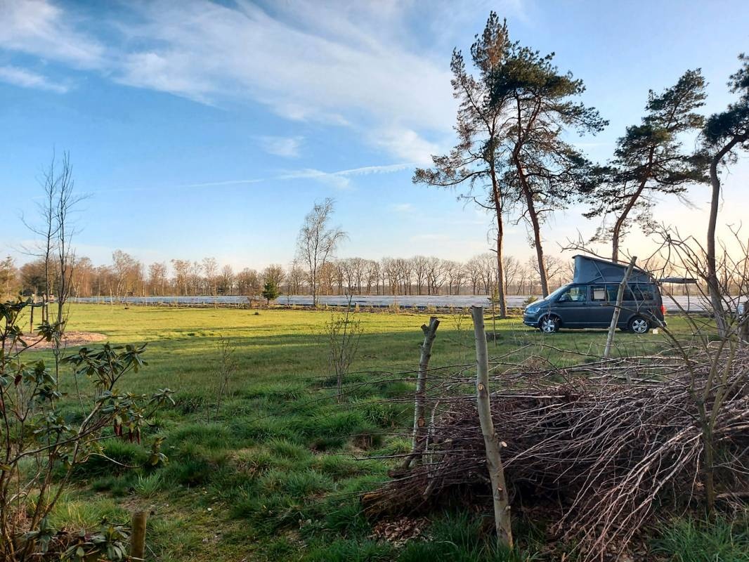 Camping Den Buizerd — 露营地 in Geijsteren