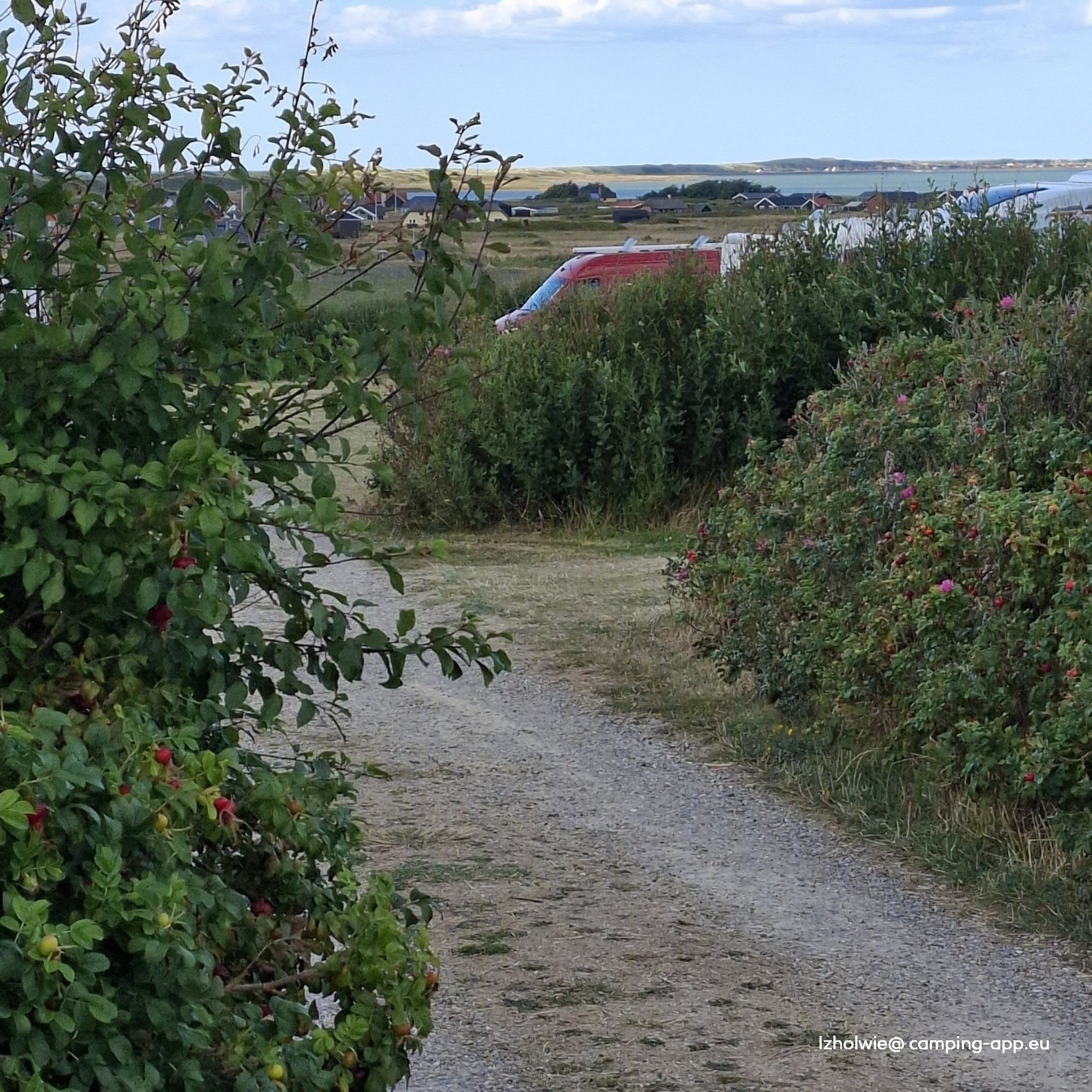 Bovbjerg Camping — Foto 5