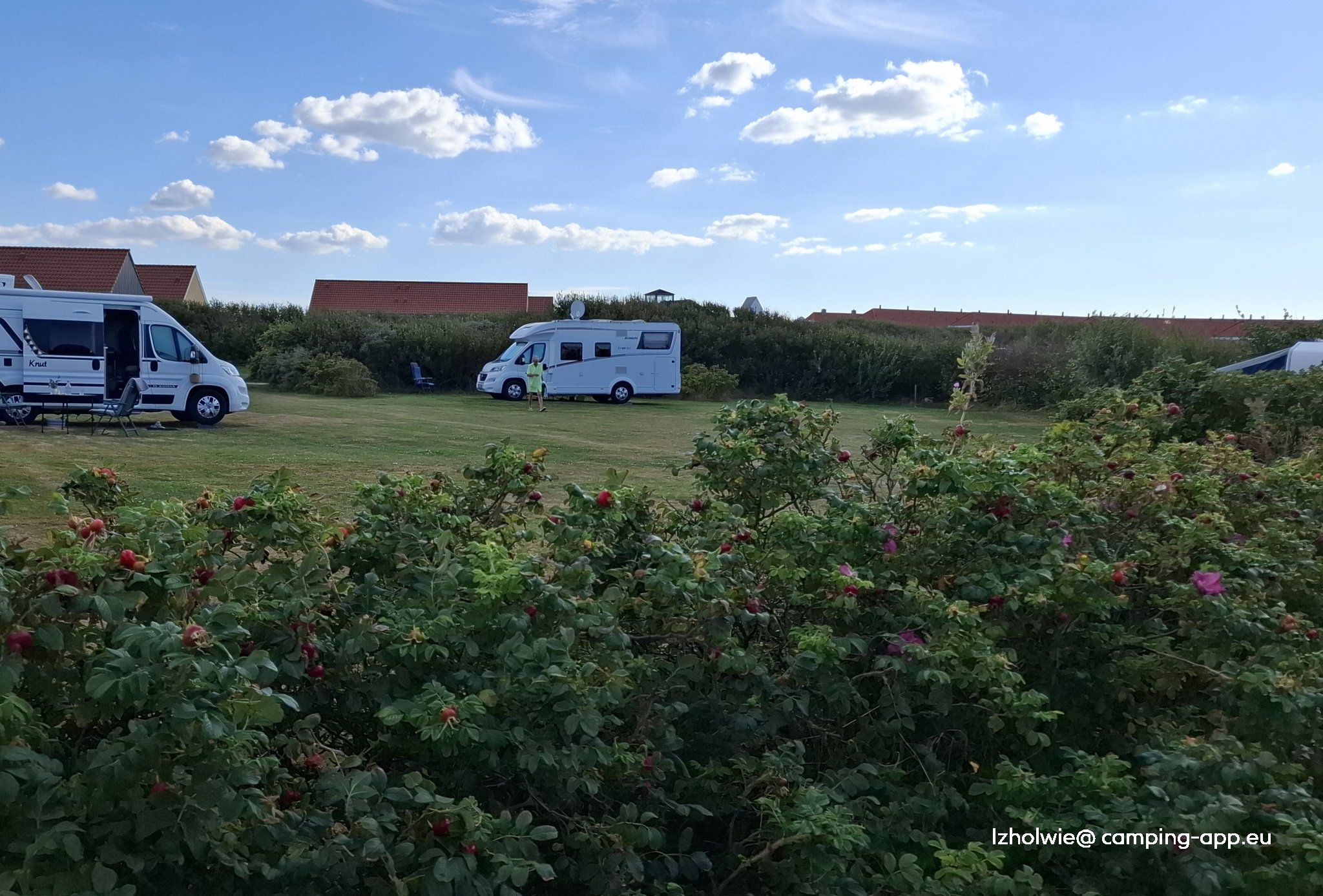 Bovbjerg Camping — Foto 4