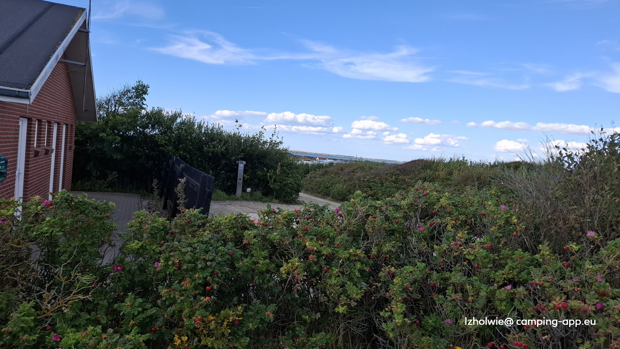 Bovbjerg Camping — Foto 3