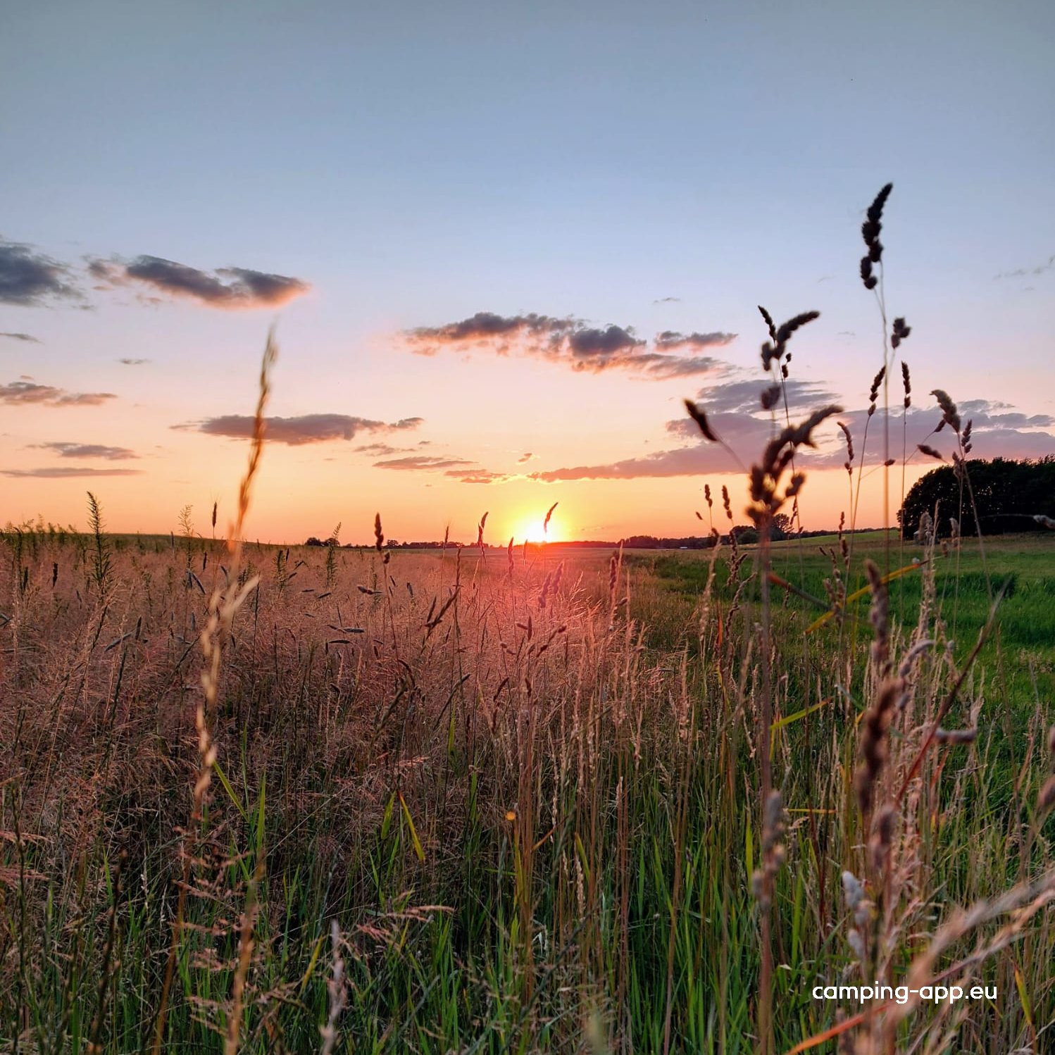 Landgut Voigtsmühle — Photo 6