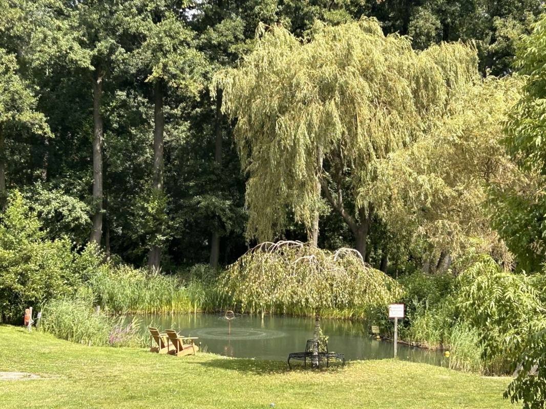 Landgut Voigtsmühle — Campingplass in Friedland