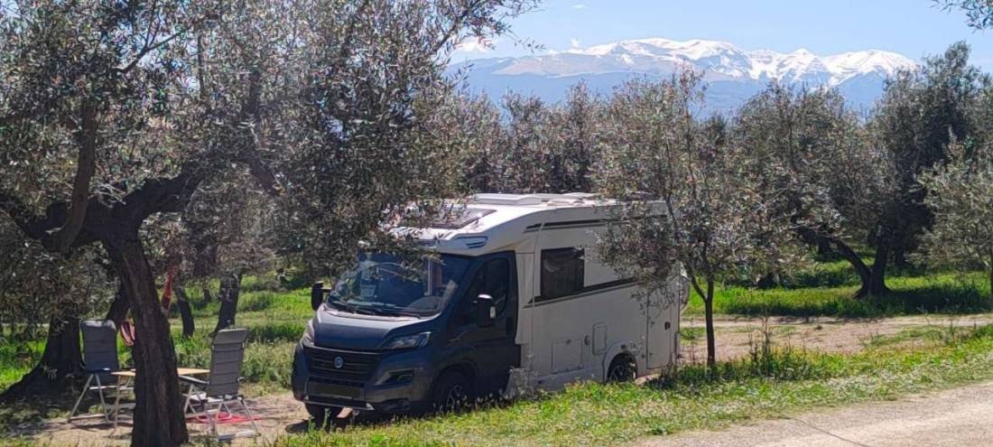 Las Hamacas Eco Camping — Campingplass in Pianella