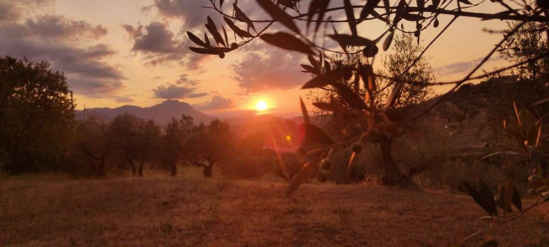 Las Hamacas Eco Camping — Kemp in Pianella