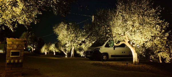 Las Hamacas Eco Camping — Photo 4