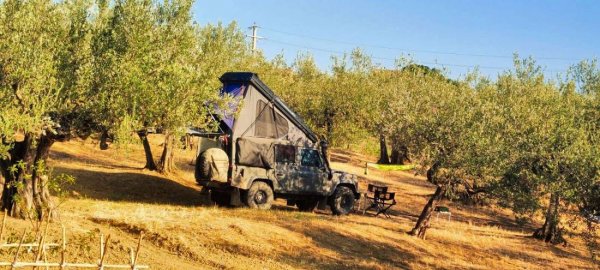 Las Hamacas Eco Camping — Photo 2