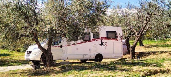 Las Hamacas Eco Camping — Foto 4