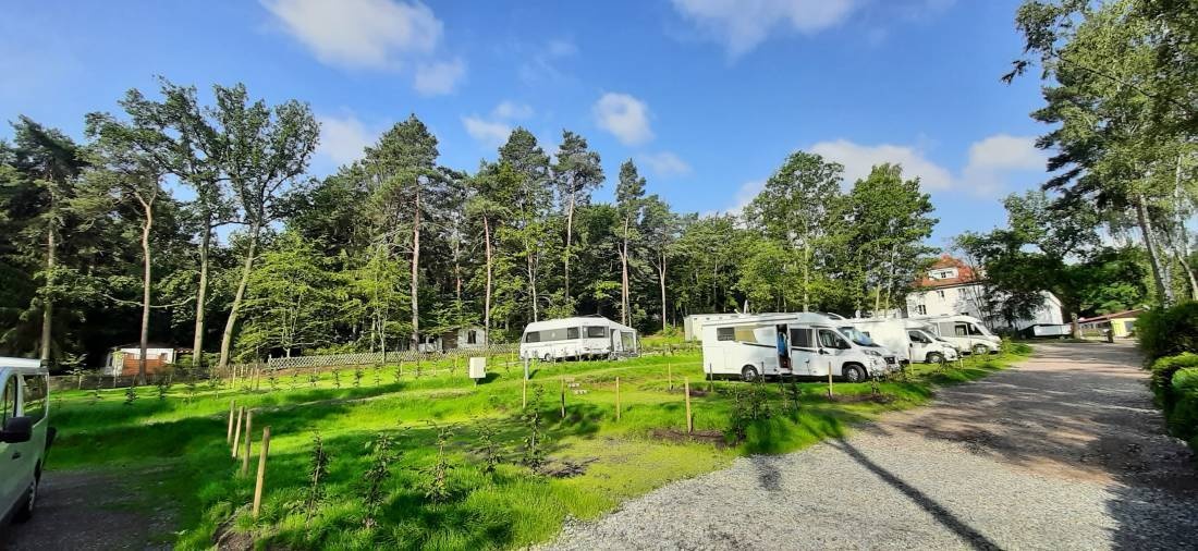 Bilz-Camping Radebeul — Campingplatz in Radebeul