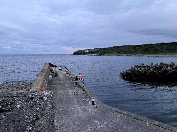 Dunbeath Harbour — Photo 4